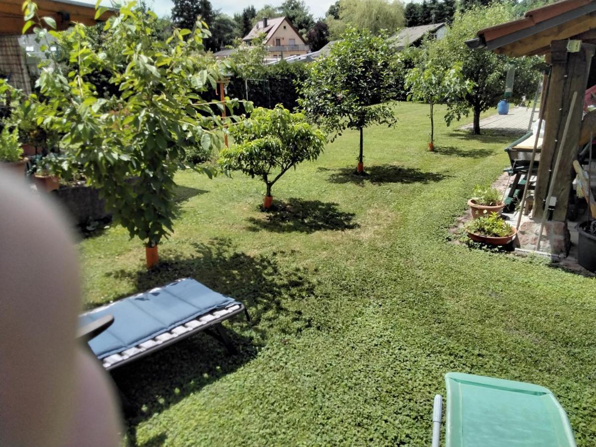 Fewo Jehle Sued Nord Rust Luaran gambar